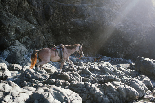 Brown horse walking over heavy rocks towards the light  photo