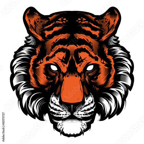 Fototapeta Naklejka Na Ścianę i Meble -  tiger head vector illustration