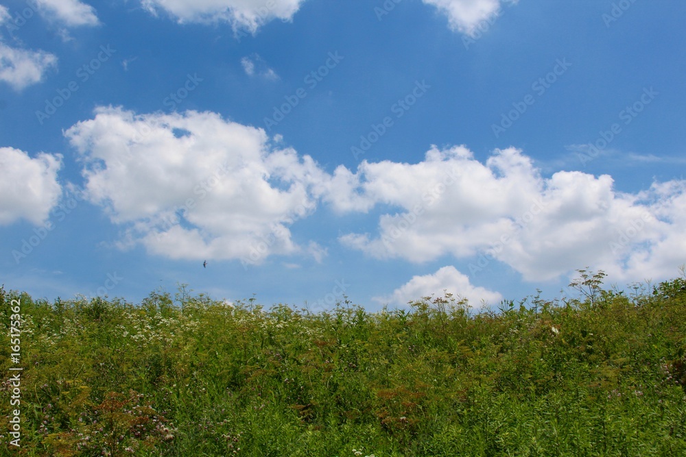 The white clouds in the blue sky over the top of the grass hill. The white clouds in the blue sky over the top of the grass hill.