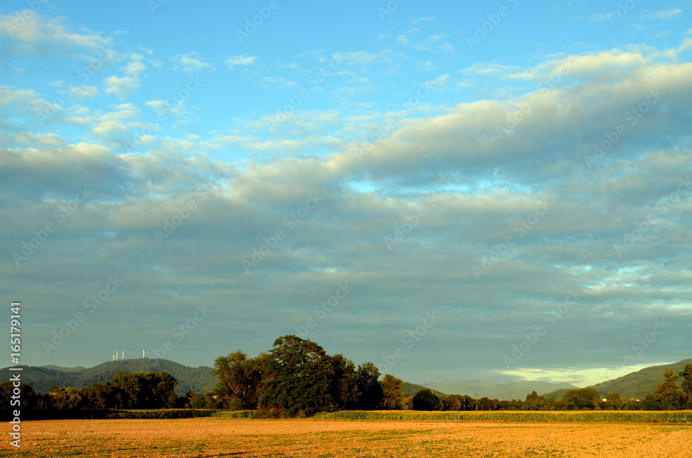 Obraz premium Felder vor Freiburg