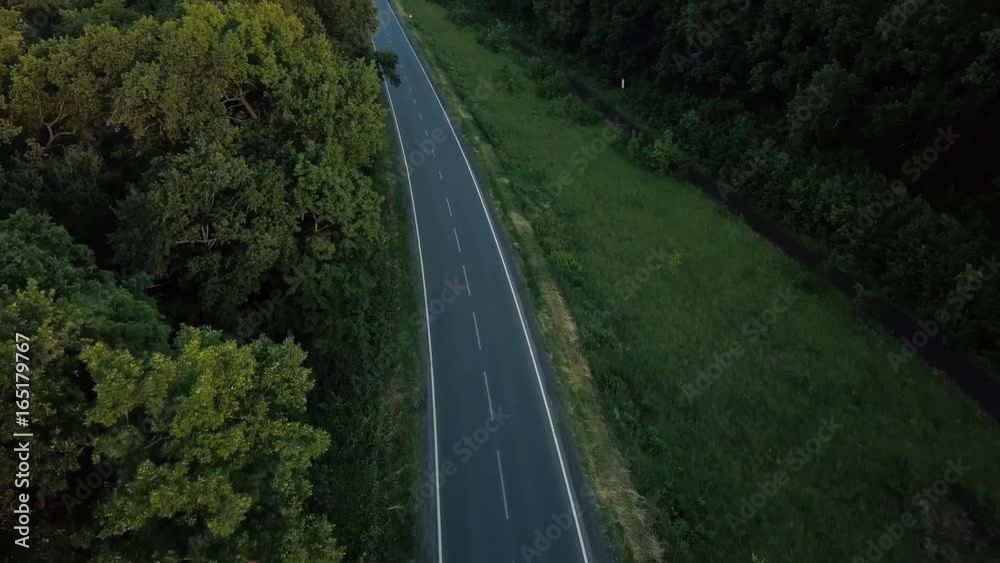 Road through the forest, view from height - aerial survey Road through the forest, view from height - aerial survey