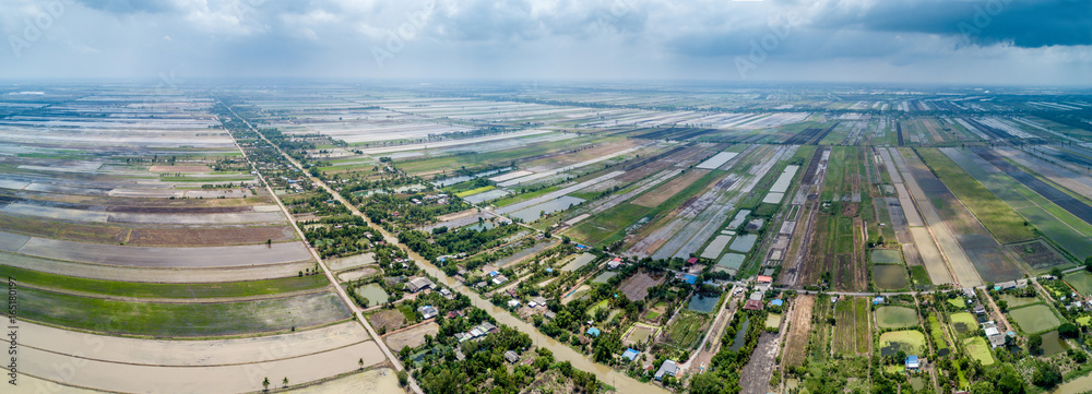 panorama aerial view of rice field