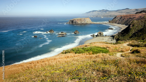 Panoramic view of the Pacific Coast from Goat Rock state park, Sonoma Coast, California, USA, from a high view point, on a sunny Summer day.  photo