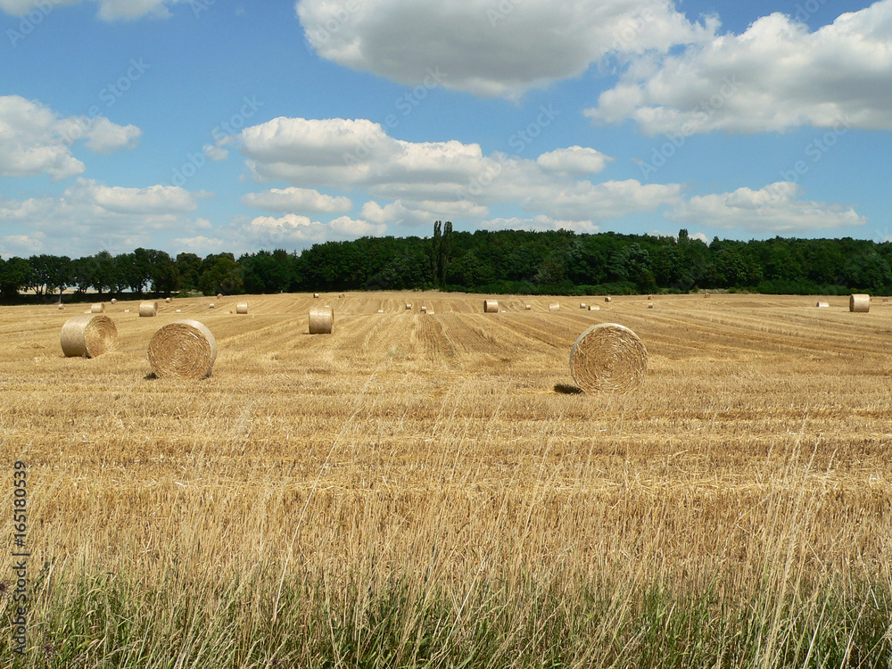 Harvested field with bales in summer in Germany