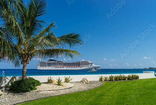 Cruise ship in crystal blue water with a palm on the front