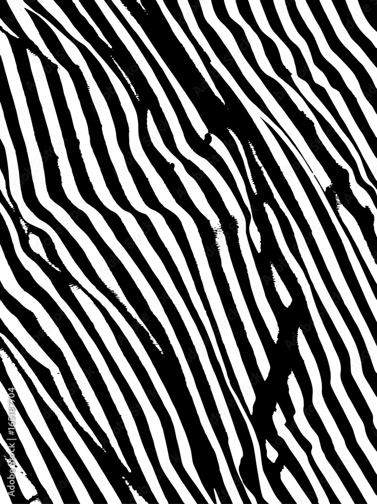 Abstract black and white pattern with irregular lines and streaks. Design elements for brushes, backgrounds, backdrops, Wallpapers, print. Contrast diagonal, slanted stripes Vector illustration