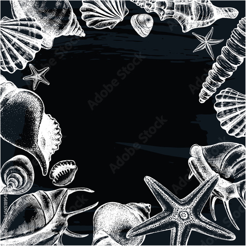Background with different types mollusk sea shells, starfishs and pebbles. Marine Ink hand drawn elements for design. Template for cards, banners, posters. Vector illustration.