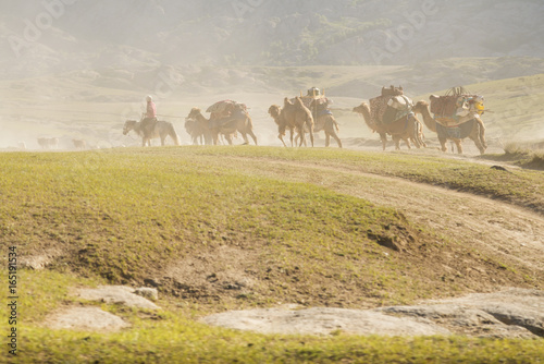 Nomad and camels walking on wild field in Shinjang china photo