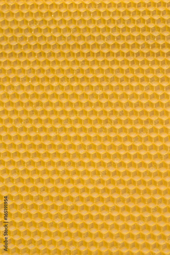 Wax of yellow empty bees cells shot close-up Wax of yellow empty bees cells shot close-up