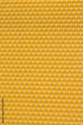 Wax of yellow empty bees cells shot close-up 