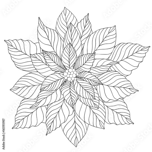 Doodle Christmas poinsettia flower