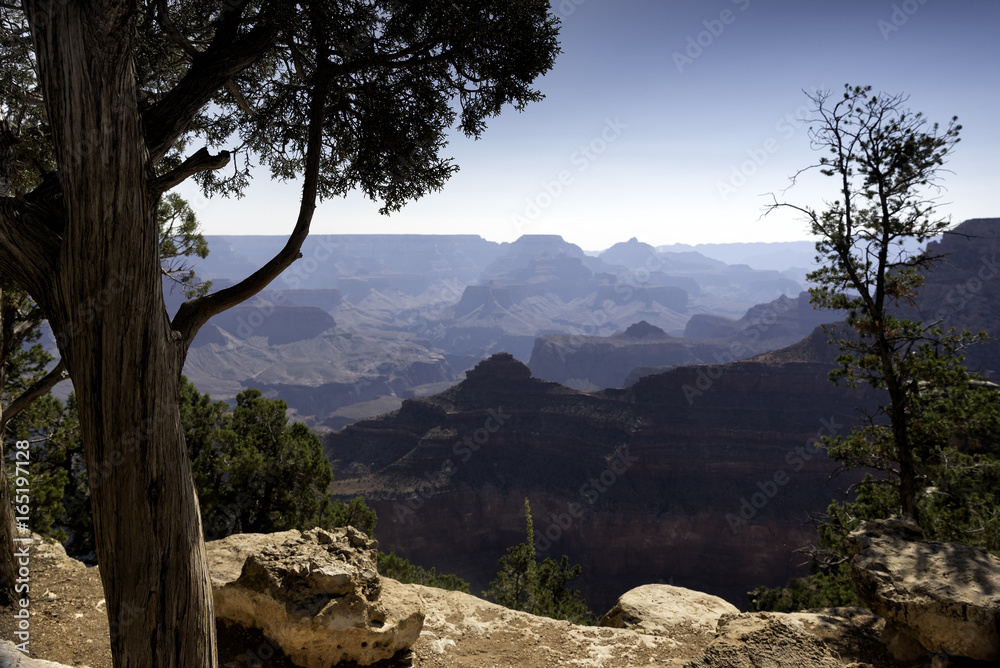 The south rim of the Grand Canyon in Arizona
