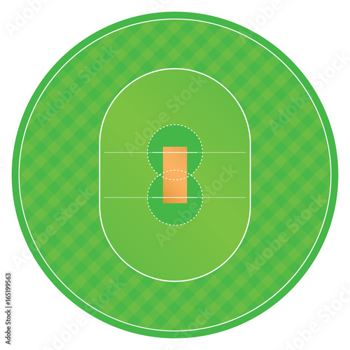Vector of green cricket ground from top view.