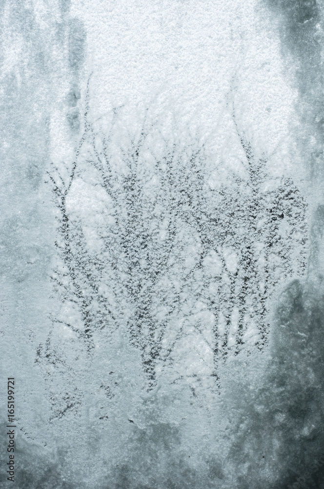 Hinter einer mit Schnee und Frost bedeckten Glasscheibe, sieht man Äste eines Baumes Hinter einer mit Schnee und Frost bedeckten Glasscheibe, sieht man Äste eines Baumes
