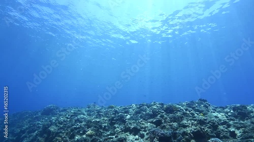 Underwater view,Rays of sunlight shining into sea
