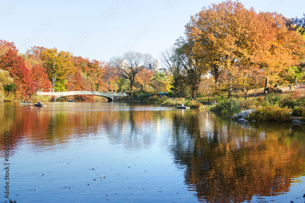 Autumn scene of Central park in New York, USA