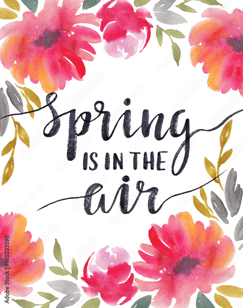 Spring Flower Air Spring Is In The Air Flowers