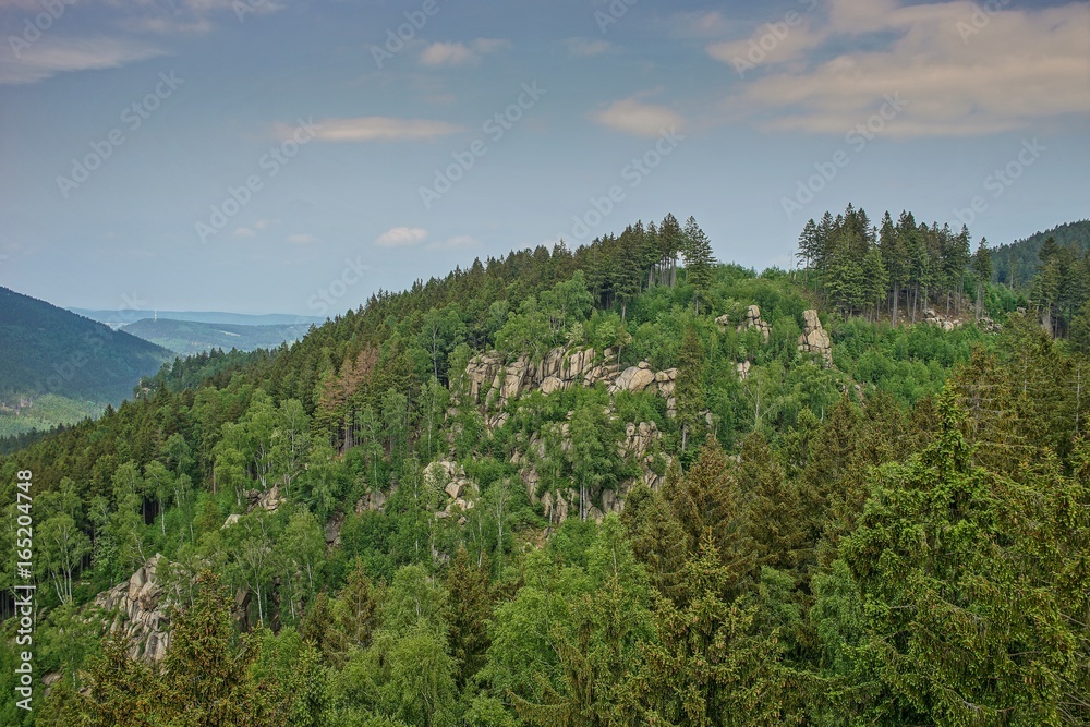 Fototapeta premium Harz Thale Okertal Berg Felz