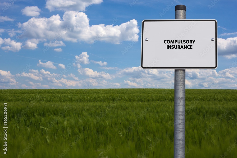 COMPULSORY INSURANCE - image with words associated with the topic HEALTH INSURANCE, word, image, illustration COMPULSORY INSURANCE - image with words associated with the topic HEALTH INSURANCE, word, image, illustration