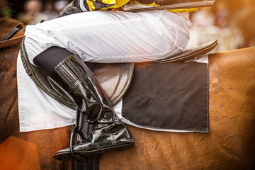 Race horse with jockey, close-up.