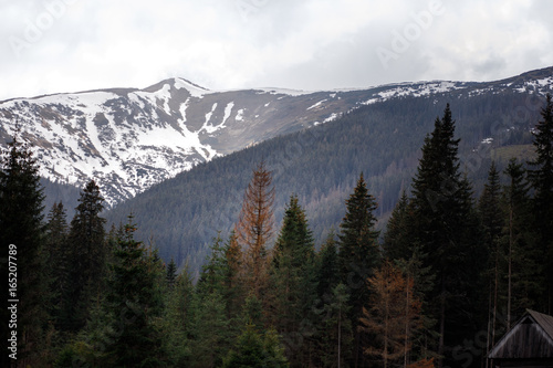 Mountains in the mist