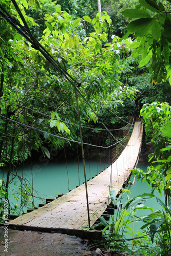 Bridge in the jungle, Costa Rica. Tropical travel. Wanderlust.