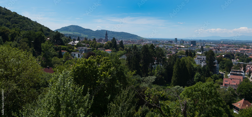 Blick auf Freiburg