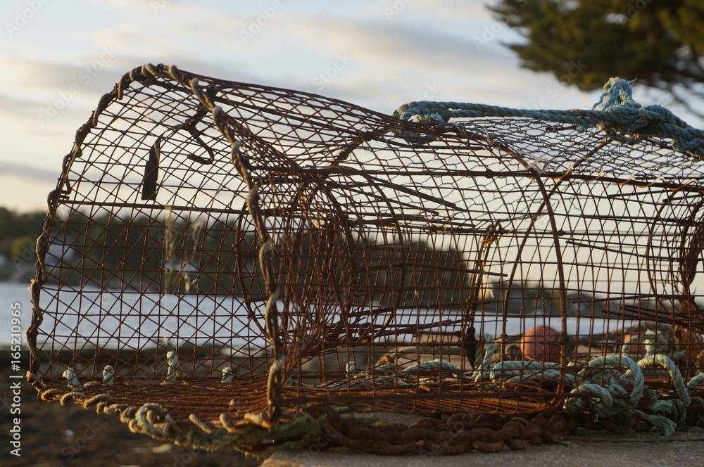 Fototapeta premium cage for fishing