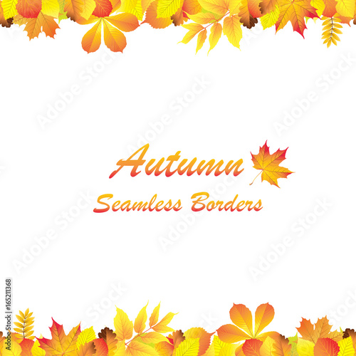 Bright autumn background with seamless vivid autumn leaves borders on white background. Vector illustration.