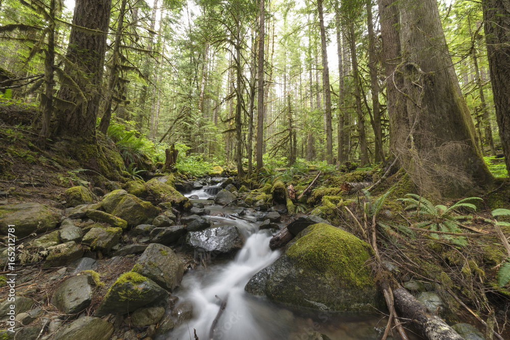 North Cascades Mountains Forests Landscapes Pacific North West North Cascades Mountains Forests Landscapes Pacific North West
