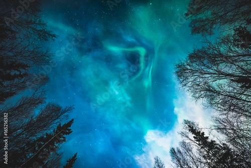 Looking up at Northern Lights 