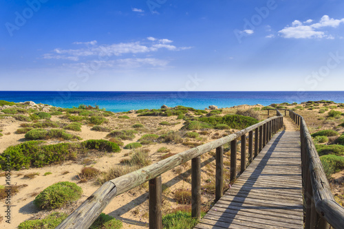 Fototapeta Naklejka Na Ścianę i Meble -  The most beautiful beaches of Italy. Campomarino dune park: fence between sea dunes,Taranto (Apulia). The protected area extends along the entire coast of the town of Maruggio.