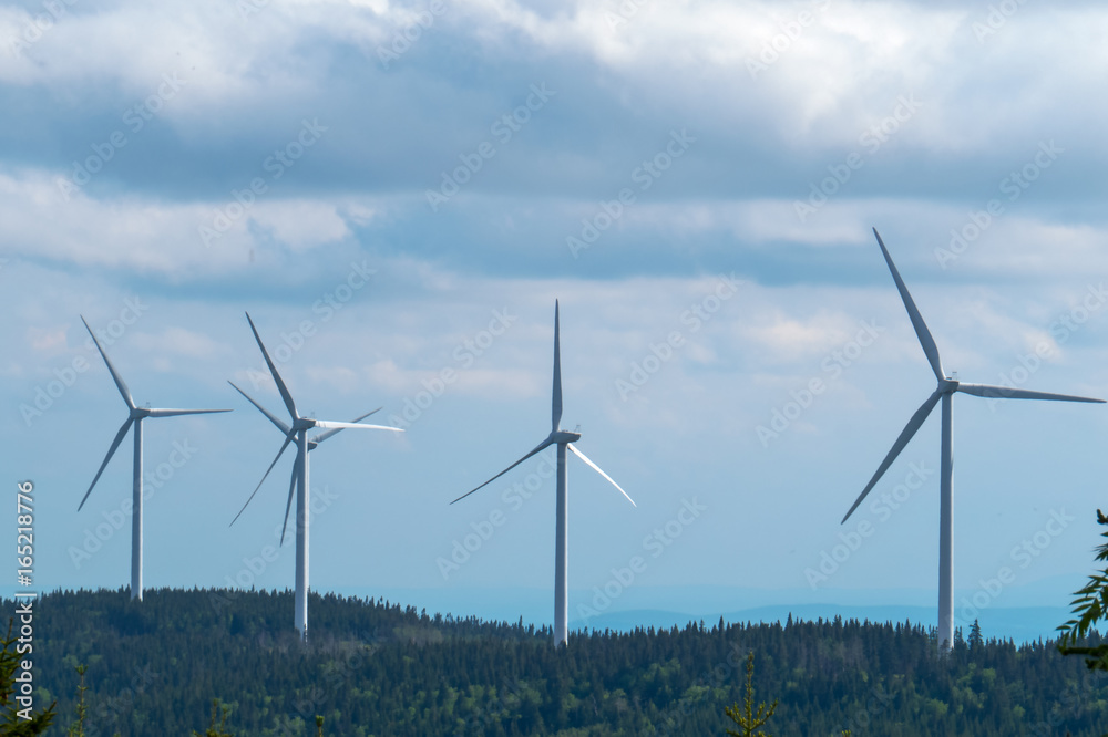 Fototapeta premium Far away wind turbines in a big Canadian provincial park.