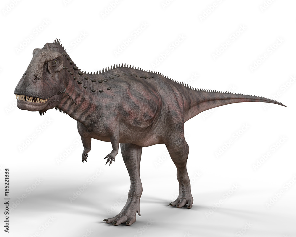 Fototapeta premium majungasaurus simple walk