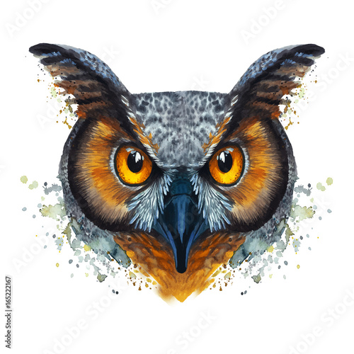 watercolor drawing of mammal animal predator bird owl, vector image, eared owl, night, fast, portrait of owl, yellow eyes, feathers, white background for decoration