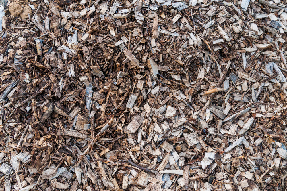 dry chips and turnings. texture of wooden debris dry chips and turnings. texture of wooden debris