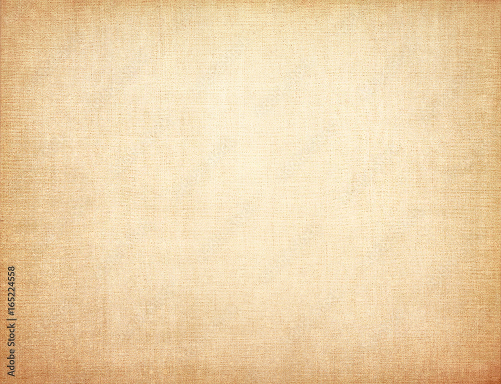 Fototapeta premium Parchment papyrus texture