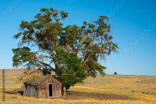 Days Gone By photo