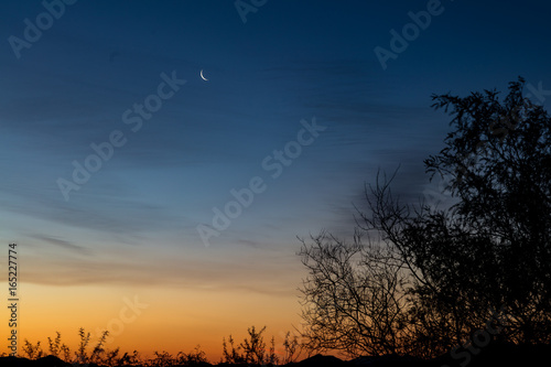 Waning Crescent Moon at Sunrise, Arizona Sky Village, Arizona, USA