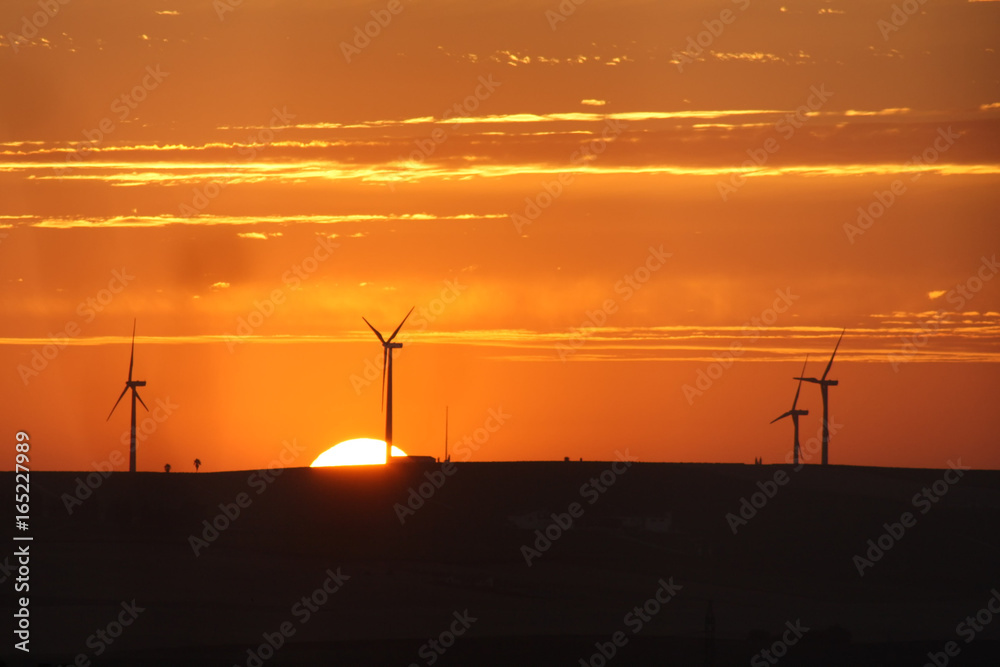 Obraz premium the sunset on the background of windmills