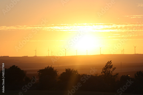 the sunset on the background of windmills