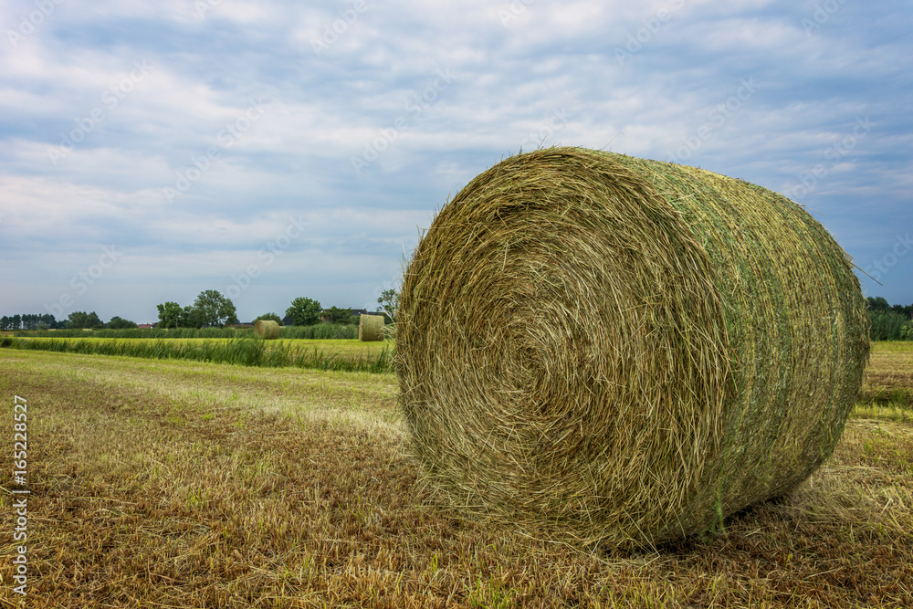 Straw bales on farmland with blue cloudy sky Straw bales on farmland with blue cloudy sky