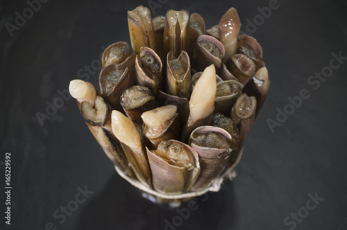 Bundle of razor clams photo