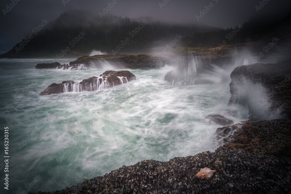 Obraz premium Raging waves on the Oregon coast