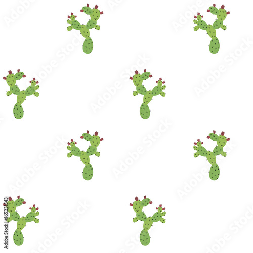 Cactus, Opuntia with fruits seamless pattern on white background. Vector illustration.