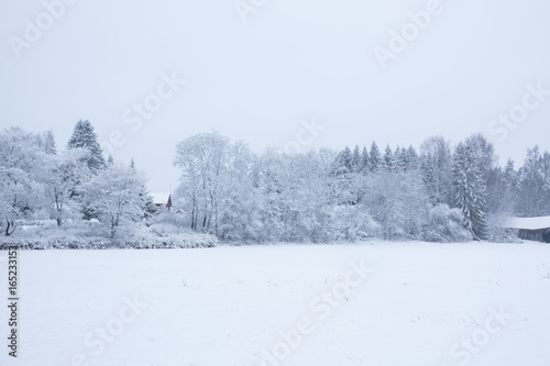 Snowy landscape countryside © Juhku