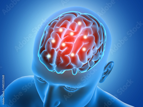 Картината върху платно 3D male figure with brain parts  highlighted