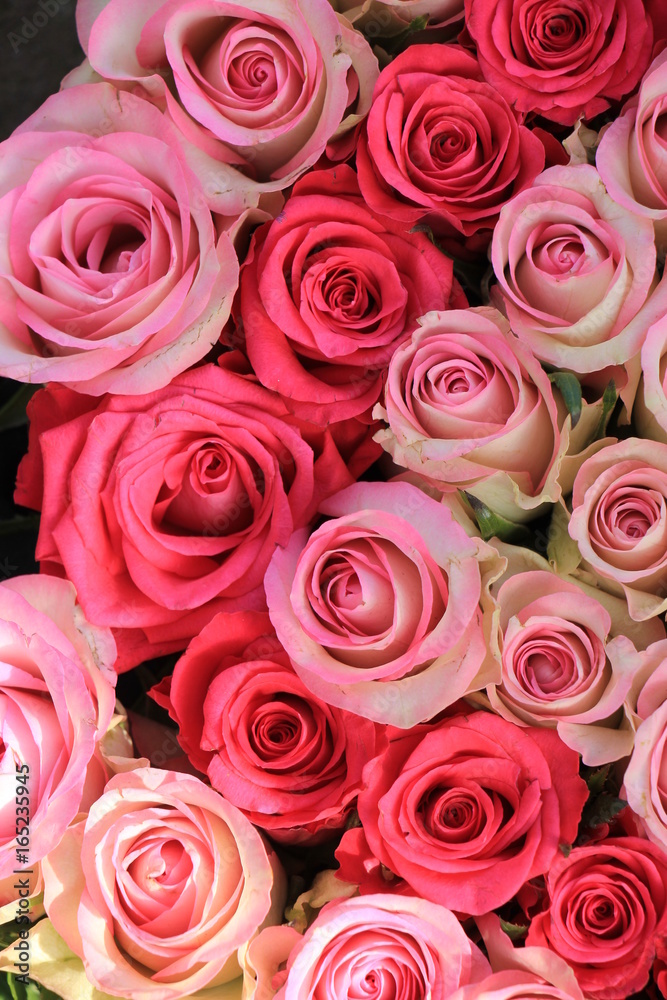 Mixed pink roses Mixed pink roses