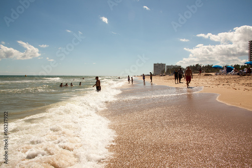 Pelican in Floria Everglades