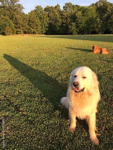 Sunbath at Magichour